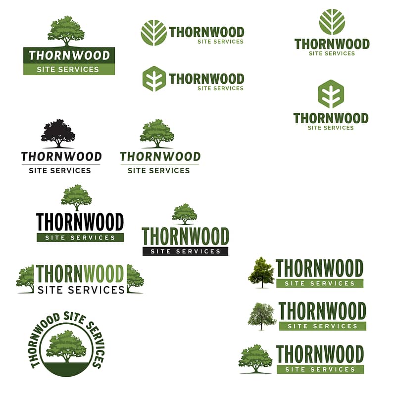 Thornwood branding logo design variations